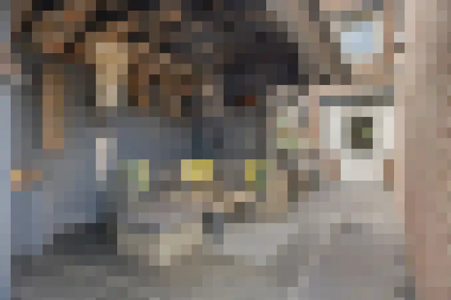 Commandeurstraat 25 Oosterhout thumbnail 31