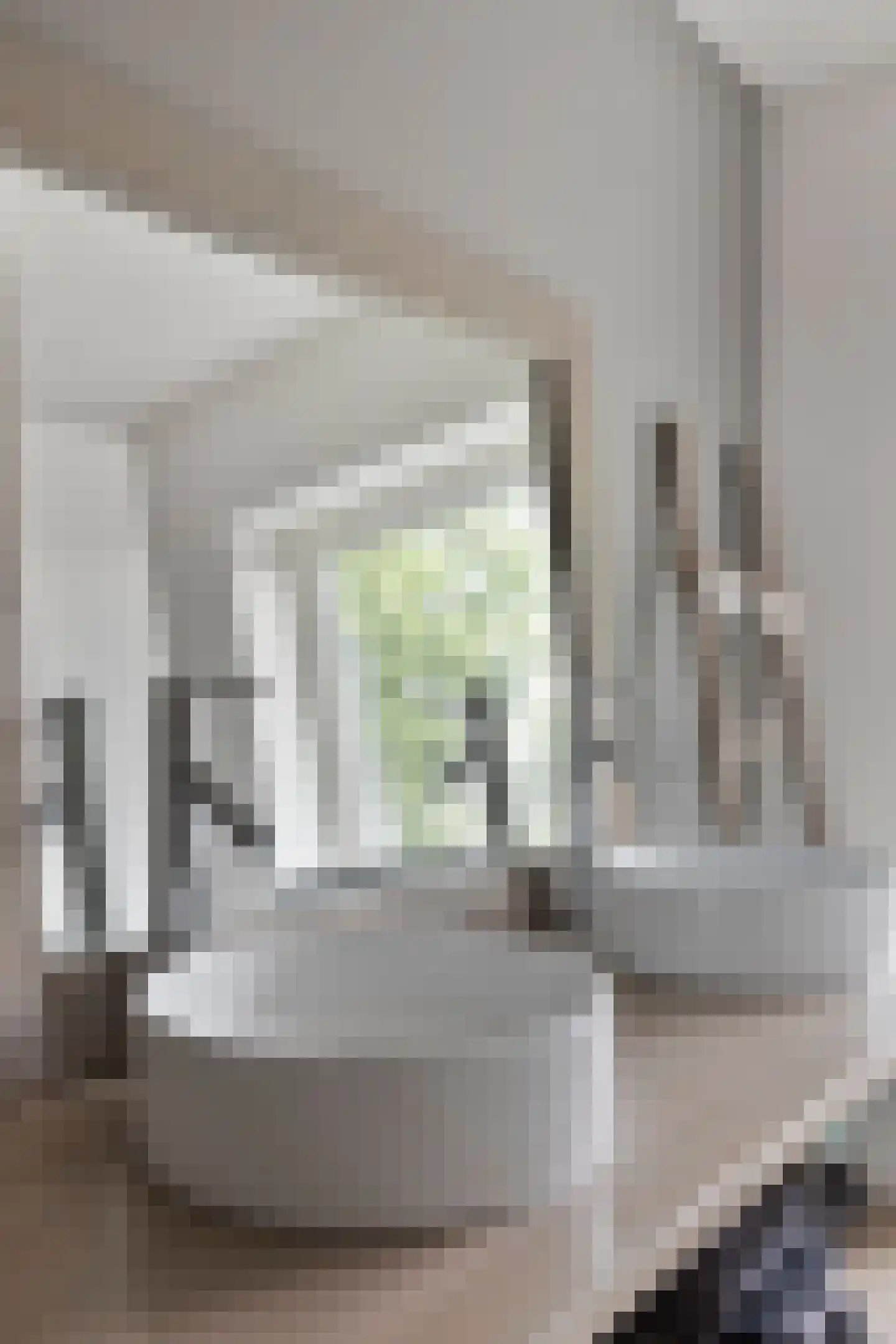 Commandeurstraat 25 Oosterhout thumbnail 43