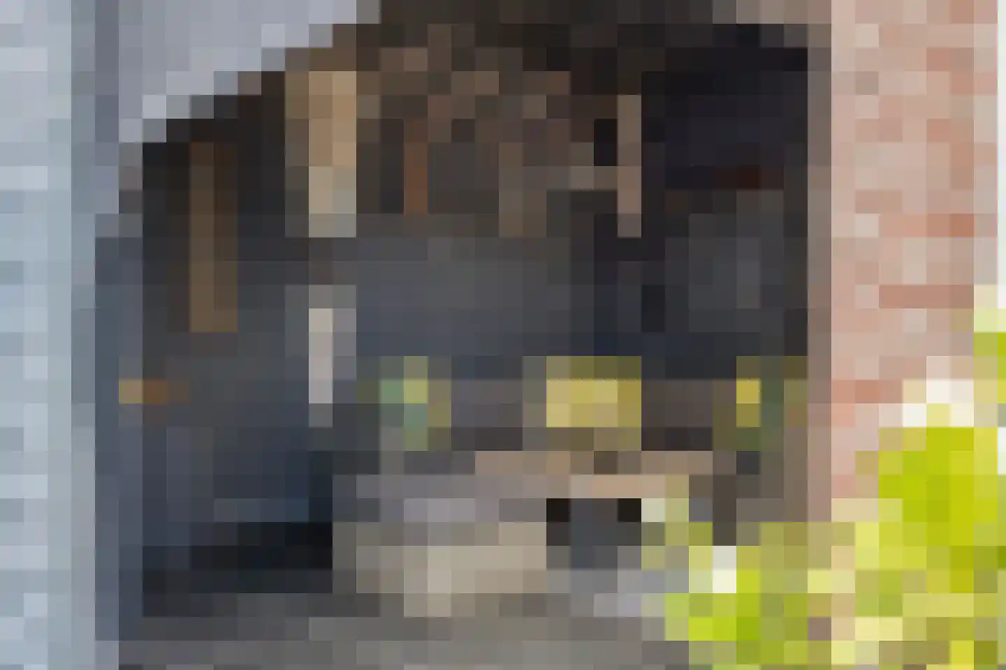 Commandeurstraat 25 Oosterhout thumbnail 46