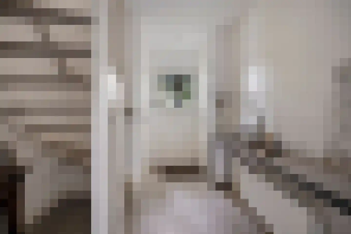 Commandeurstraat 25 Oosterhout thumbnail 5