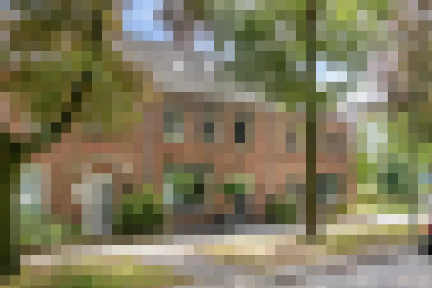 Commandeurstraat 25 Oosterhout thumbnail 8