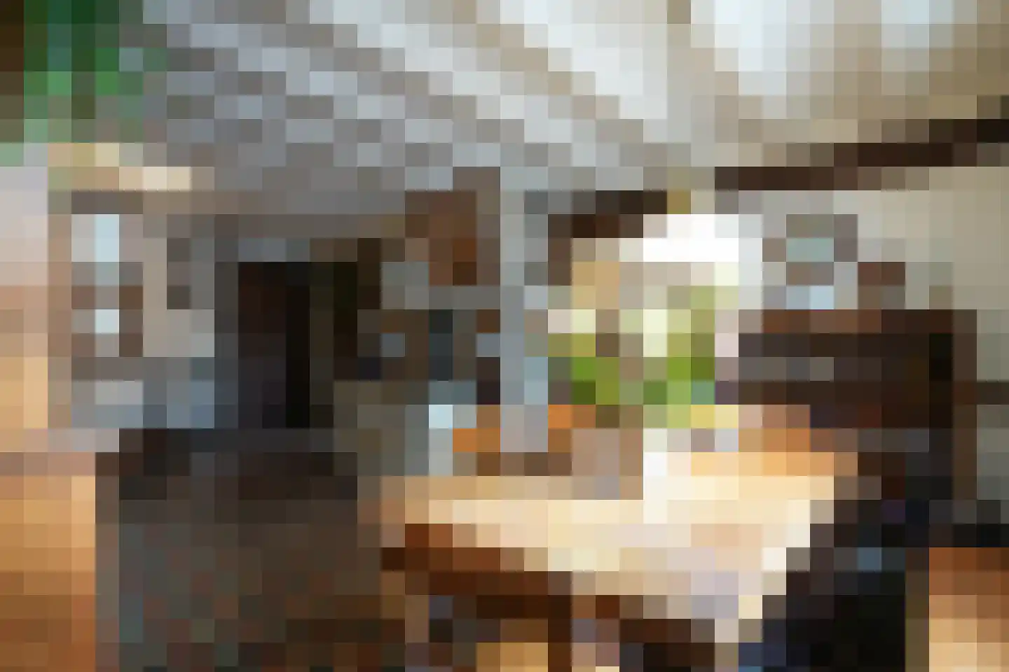 Commandeurstraat 26 Mechelen thumbnail 15