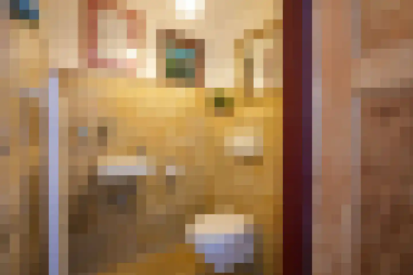 Commandeurstraat 26 Mechelen thumbnail 24