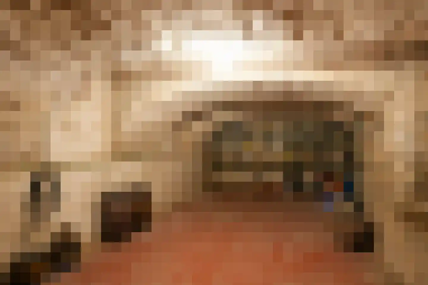 Commandeurstraat 26 Mechelen thumbnail 26
