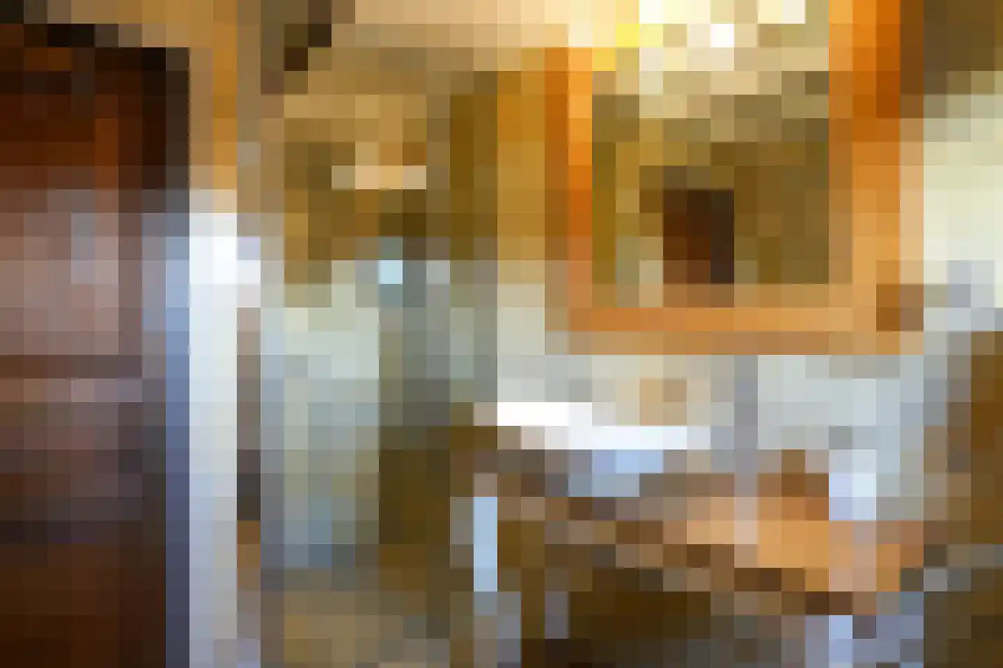 Commandeurstraat 26 Mechelen thumbnail 45