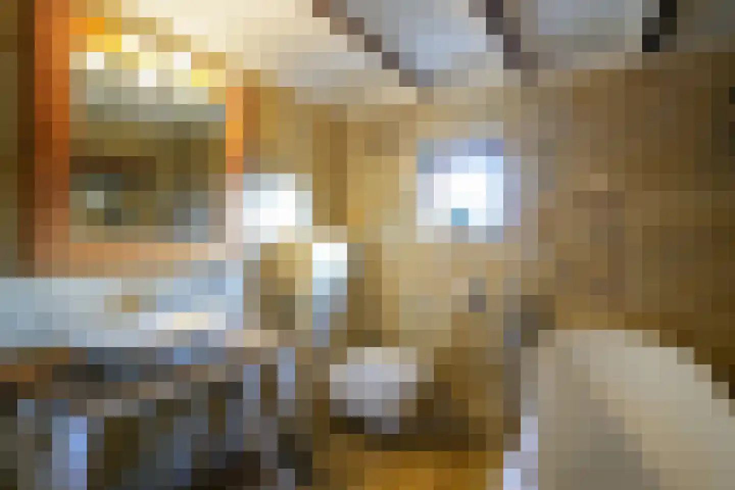 Commandeurstraat 26 Mechelen thumbnail 46
