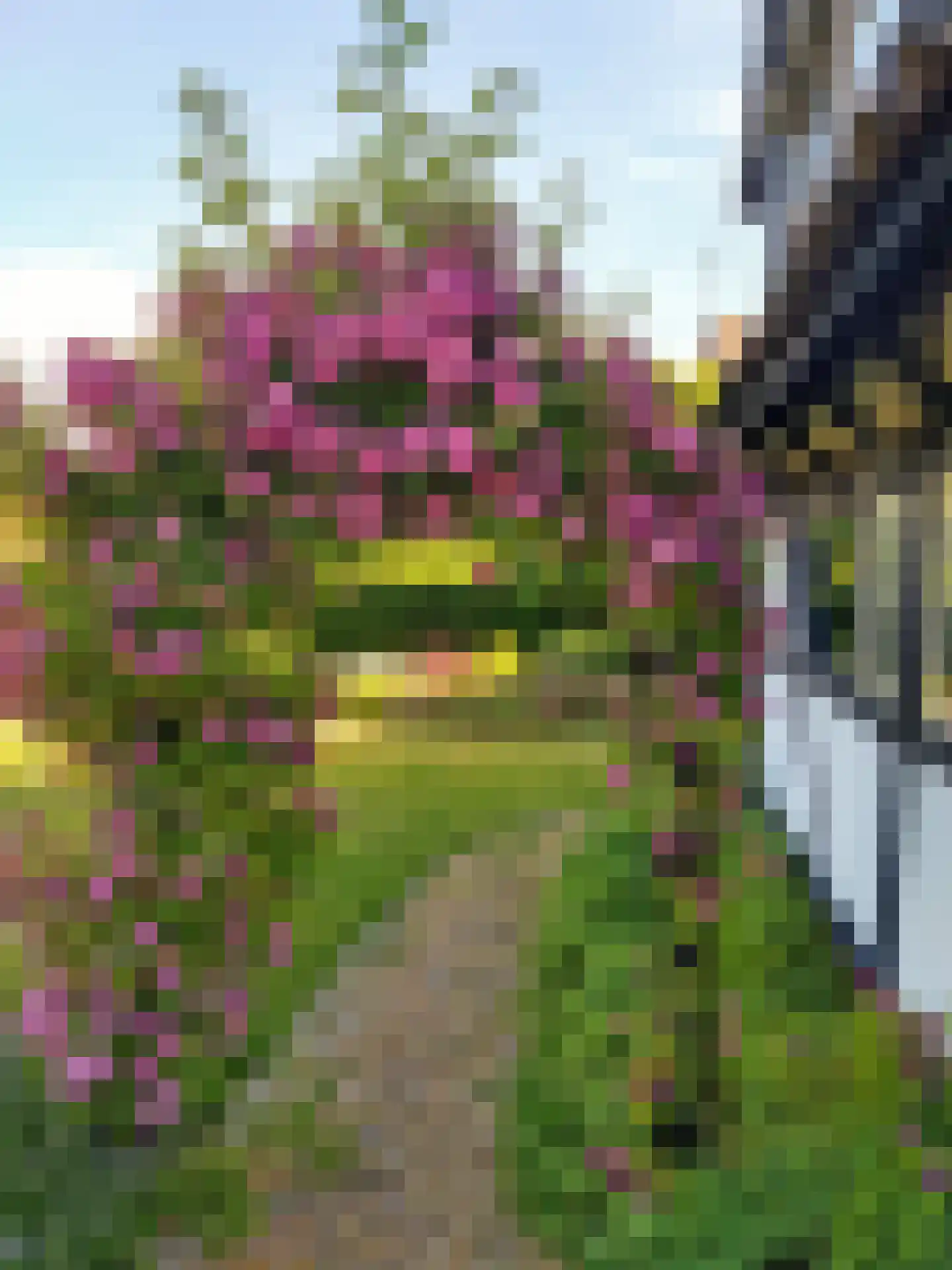 Commandeurstraat 26 Mechelen thumbnail 53
