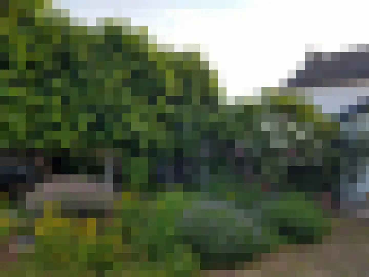Commandeurstraat 26 Mechelen thumbnail 54