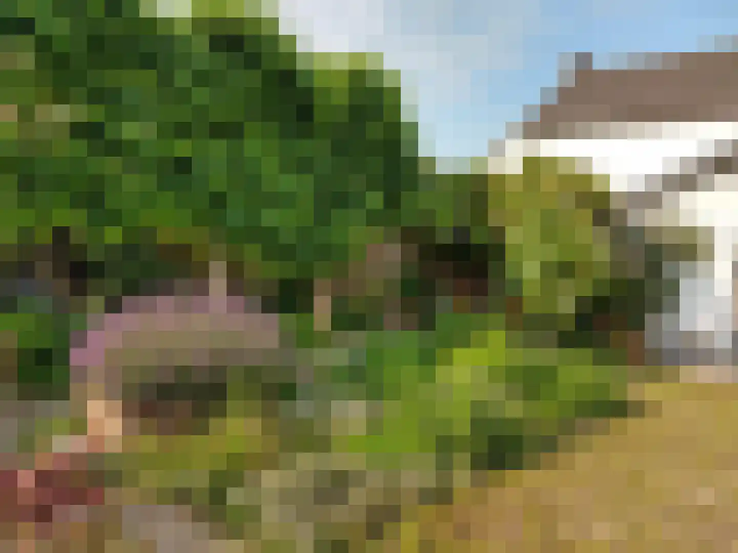 Commandeurstraat 26 Mechelen thumbnail 55