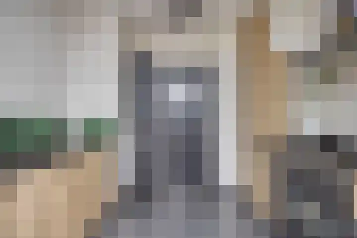Commandeurstraat 27 Oosterhout thumbnail 11