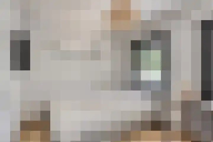 Commandeurstraat 27 Oosterhout thumbnail 14