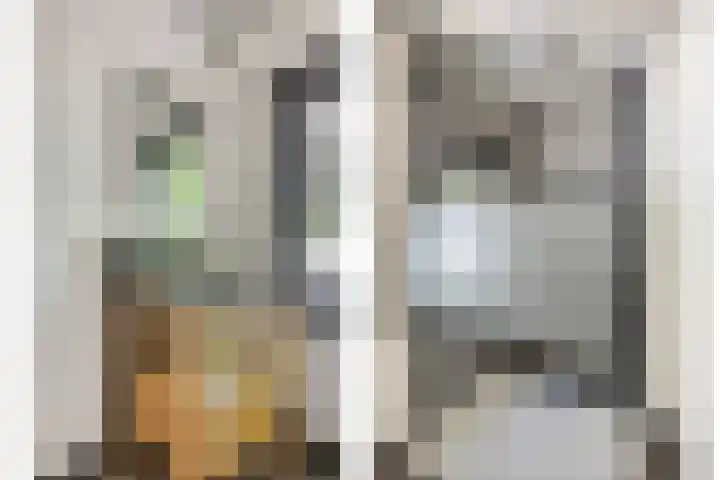 Commandeurstraat 27 Oosterhout thumbnail 21
