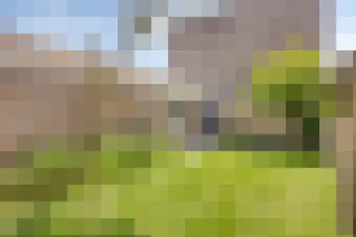 Commandeurstraat 27 Oosterhout thumbnail 30