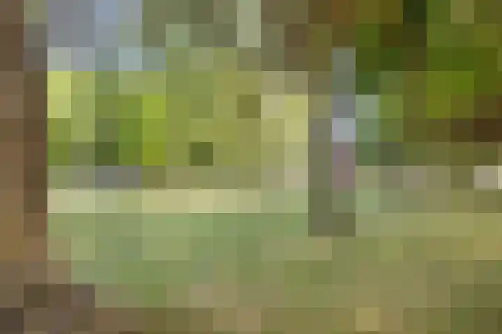 Commandeurstraat 27 Oosterhout thumbnail 33