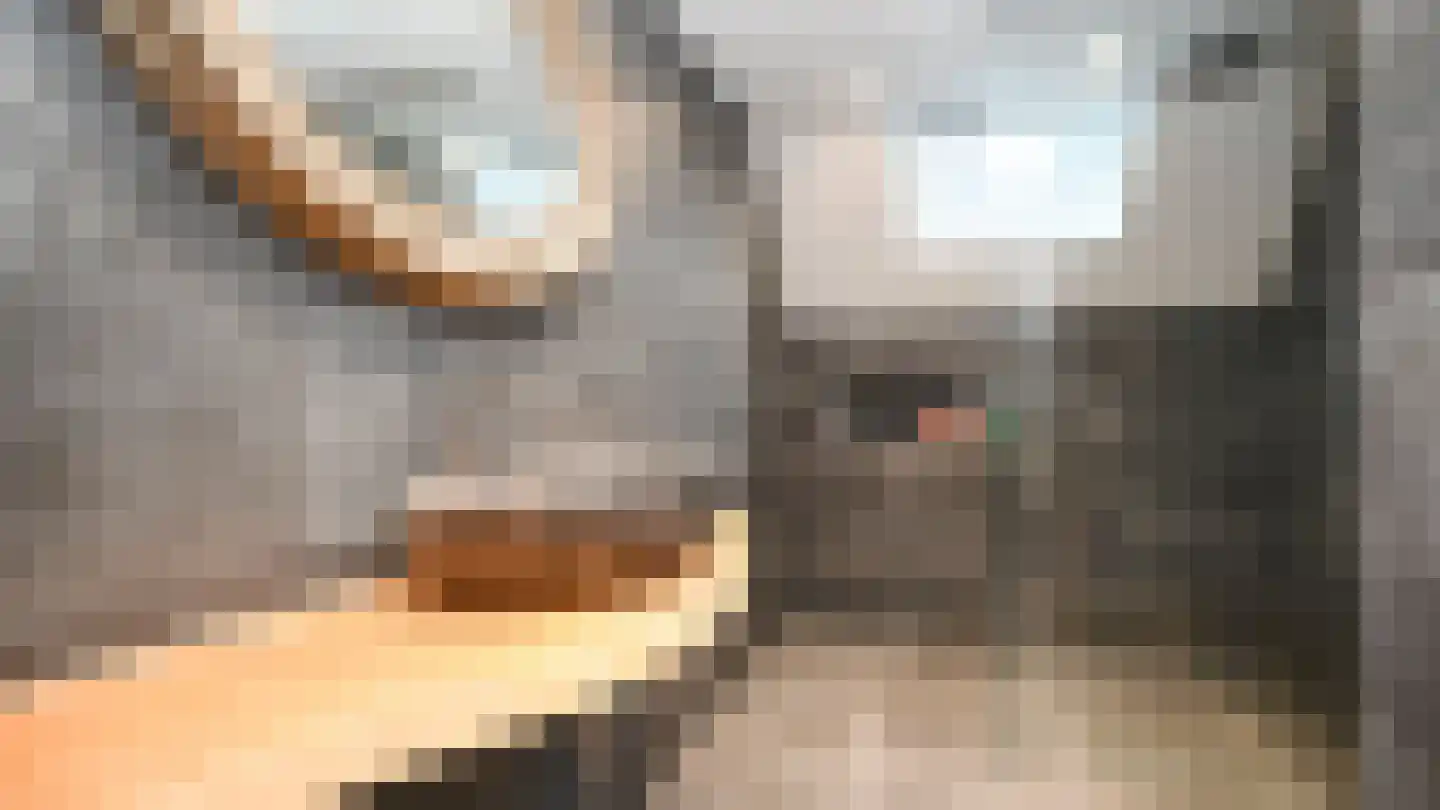 Commandeurstraat 31 West-Terschelling thumbnail 33