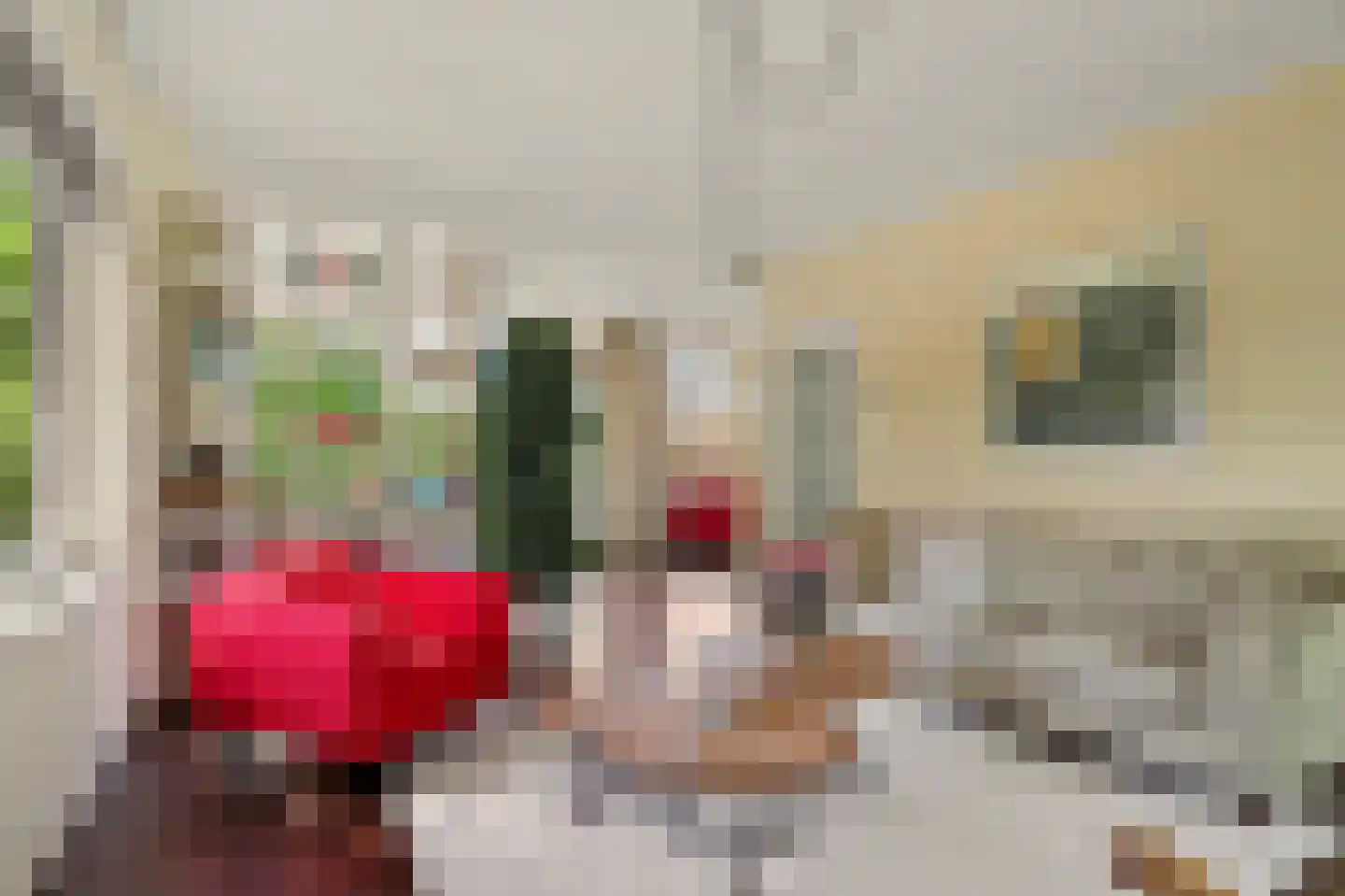 Commandeurstraat 8 Geertruidenberg thumbnail 11