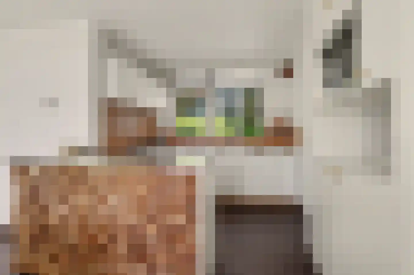Commandeurstraat 8 Geertruidenberg thumbnail 15