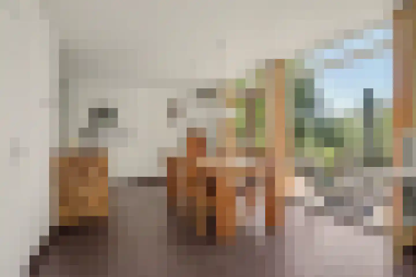 Commandeurstraat 8 Geertruidenberg thumbnail 16