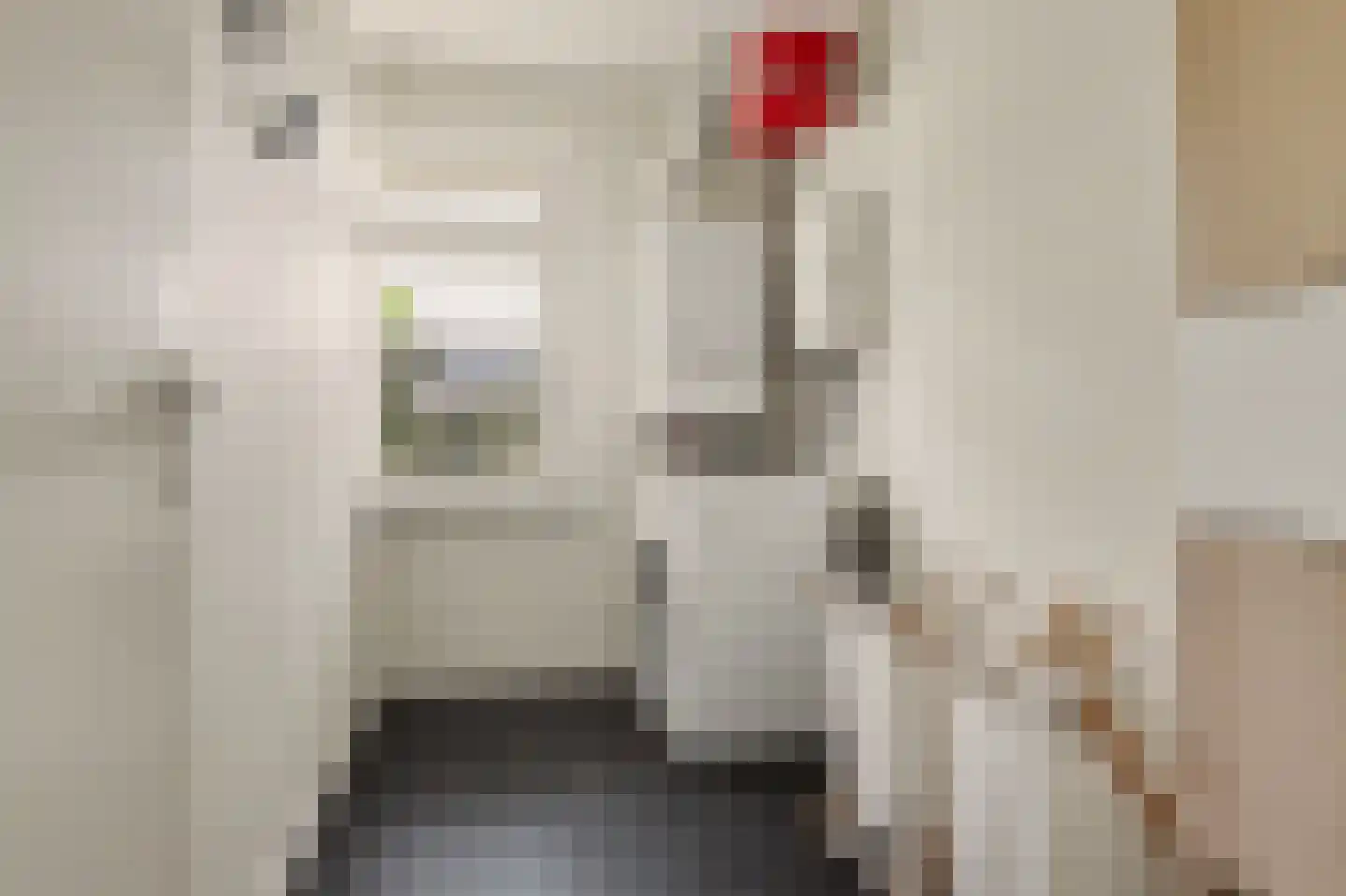 Commandeurstraat 8 Geertruidenberg thumbnail 26
