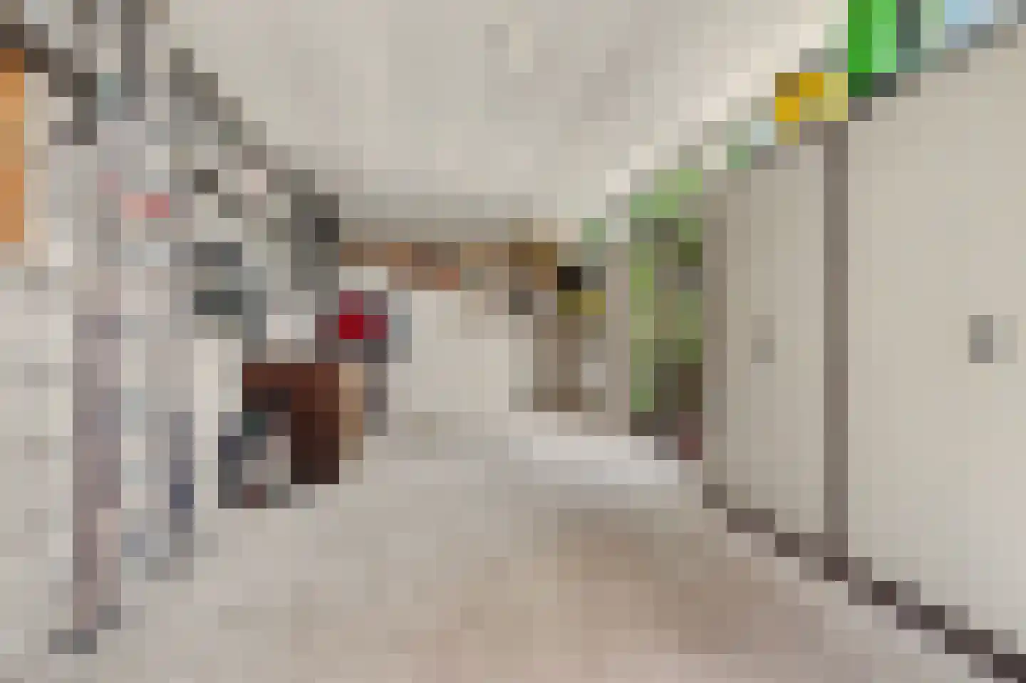 Commandeurstraat 8 Geertruidenberg thumbnail 32