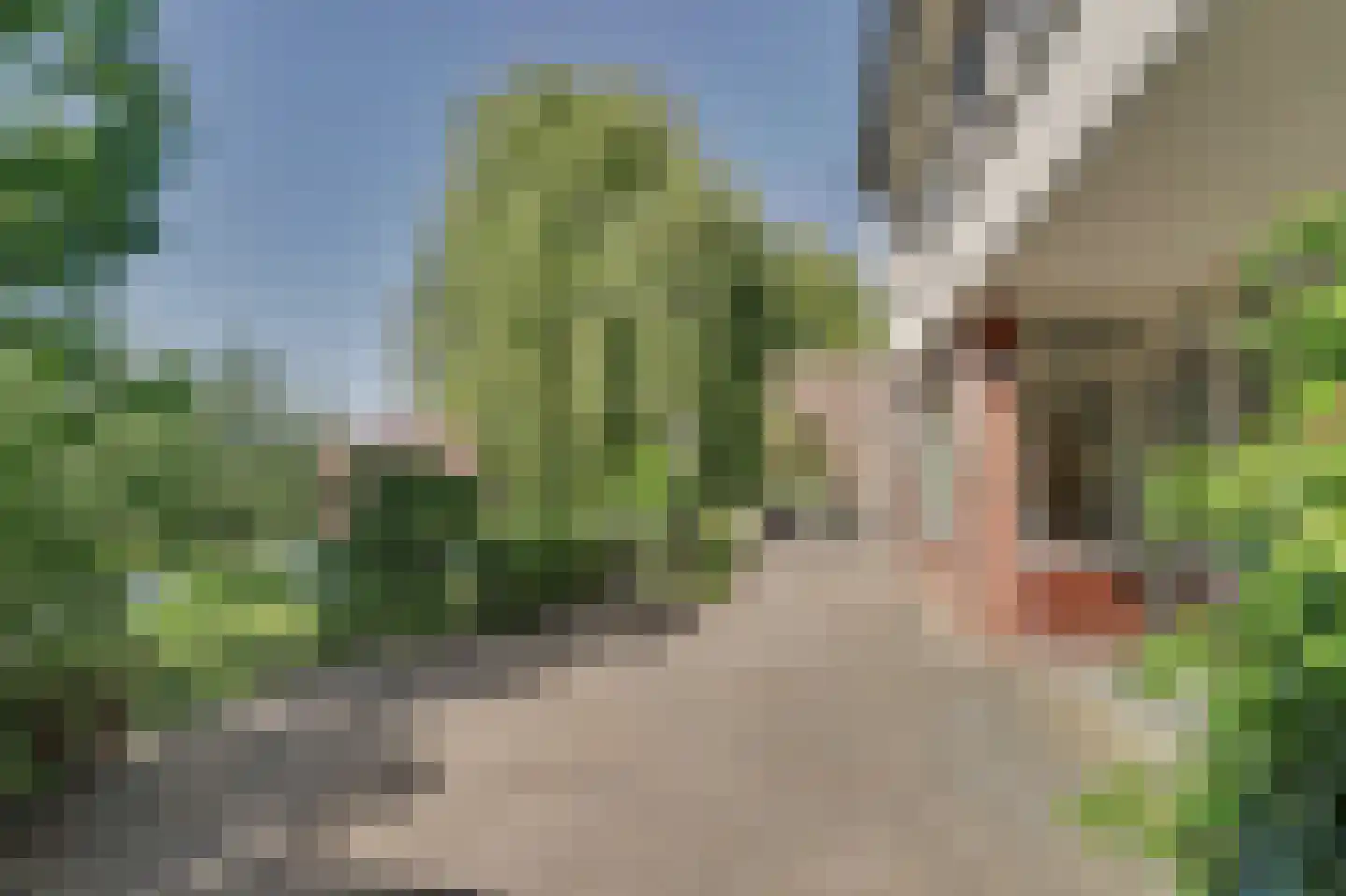 Commandeurstraat 8 Geertruidenberg thumbnail 34