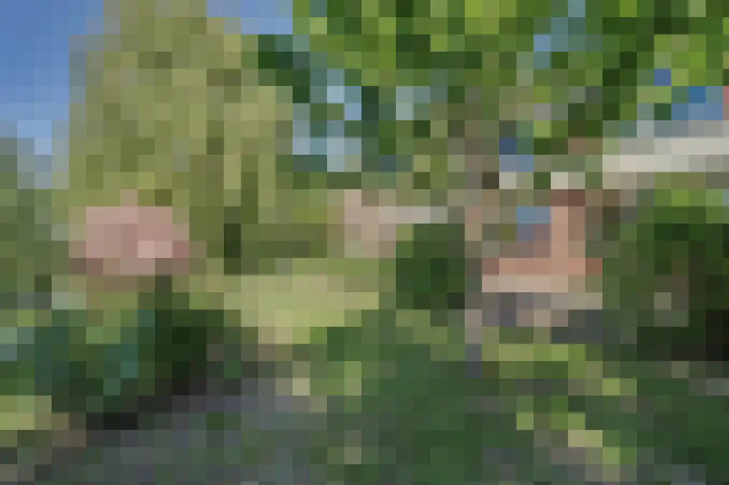 Commandeurstraat 8 Geertruidenberg thumbnail 35