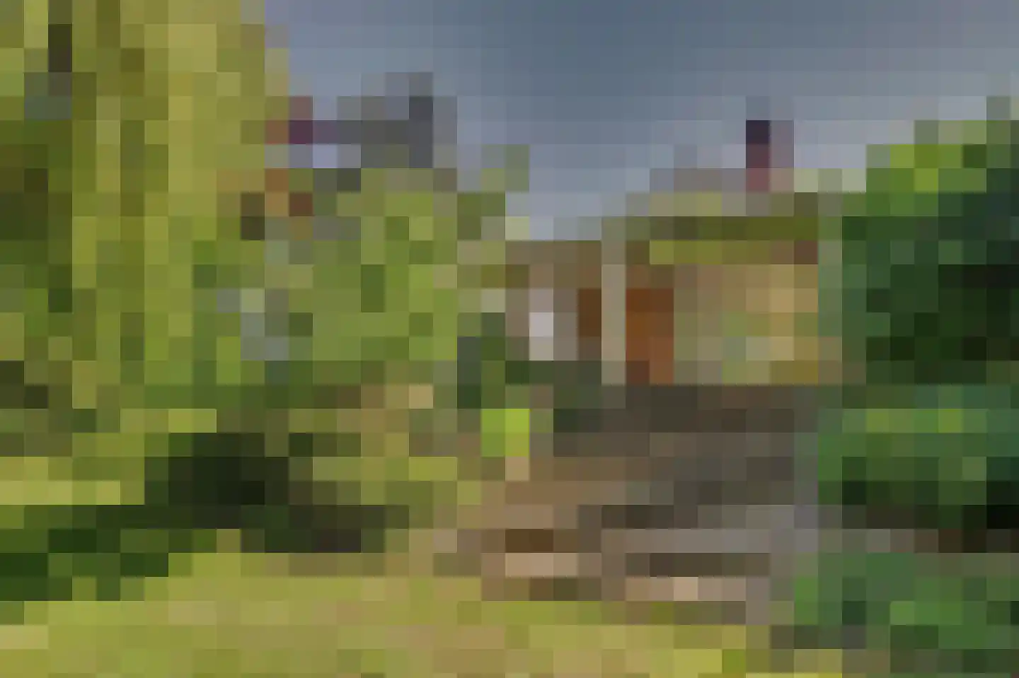 Commandeurstraat 8 Geertruidenberg thumbnail 37