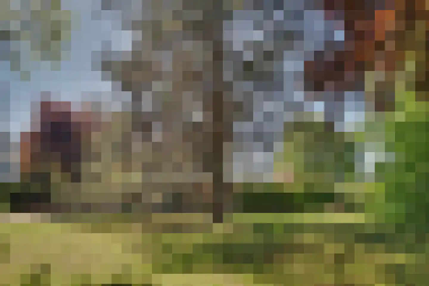Commandeurstraat 8 Geertruidenberg thumbnail 38