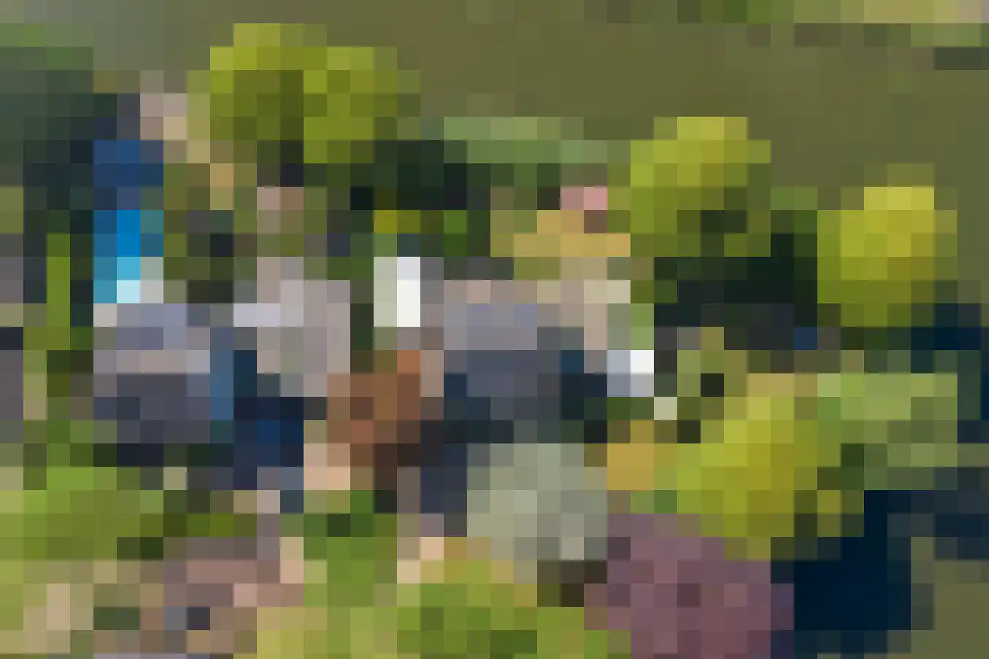Commandeurstraat 8 Geertruidenberg thumbnail 39