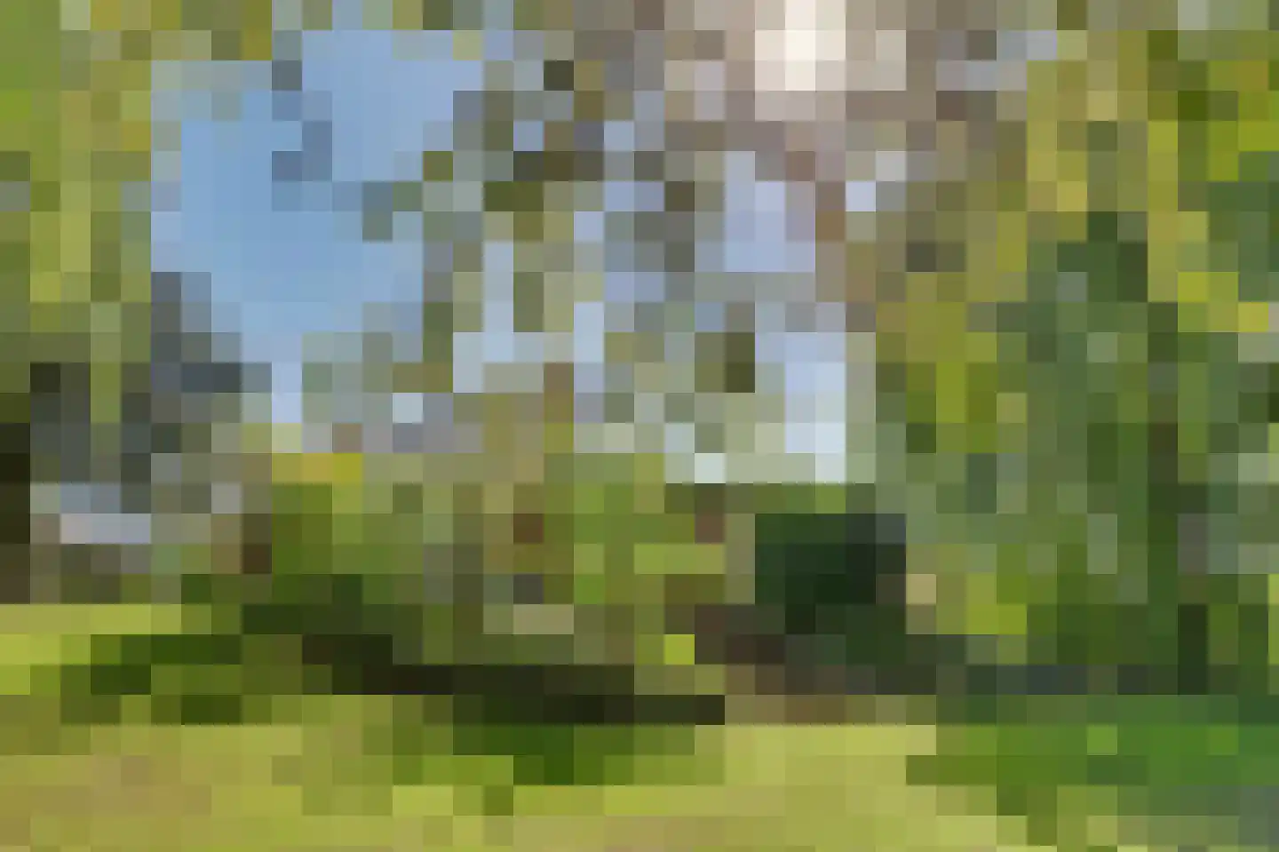Commandeurstraat 8 Geertruidenberg thumbnail 4