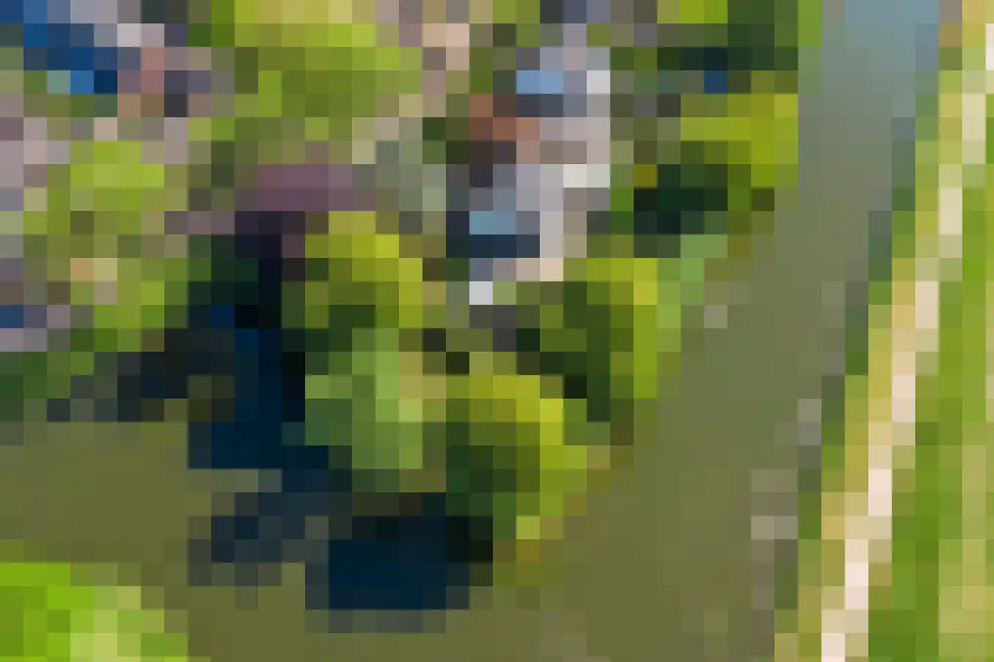 Commandeurstraat 8 Geertruidenberg thumbnail 41