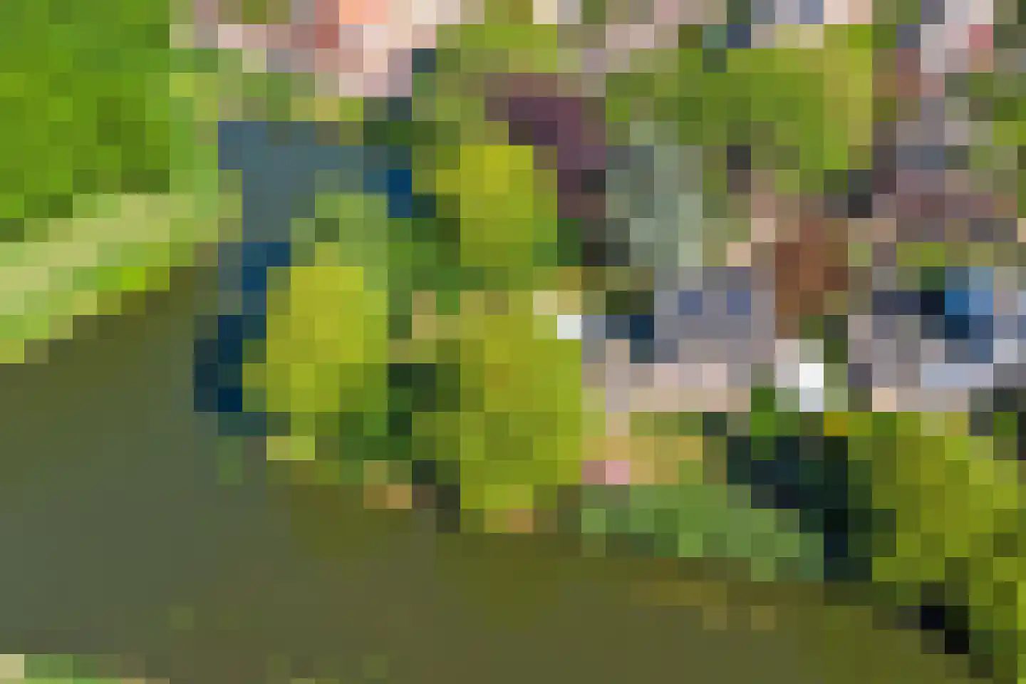 Commandeurstraat 8 Geertruidenberg thumbnail 42