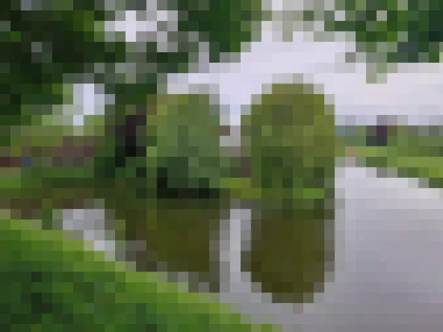 Commandeurstraat 8 Geertruidenberg thumbnail 45