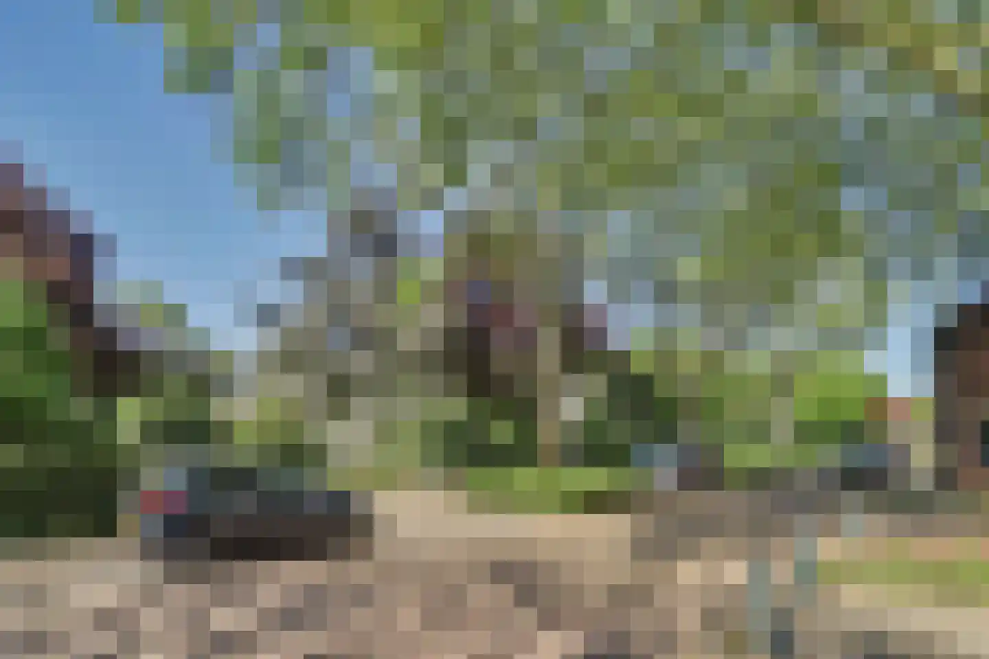 Commandeurstraat 8 Geertruidenberg thumbnail 47