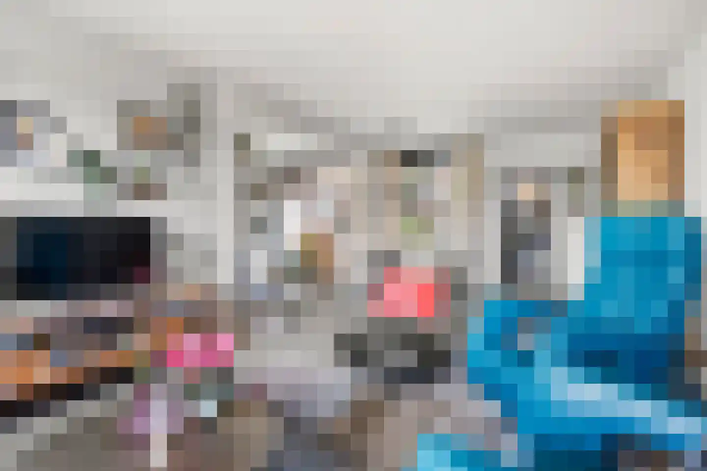 Commandeursweg 126 Bennekom thumbnail 23