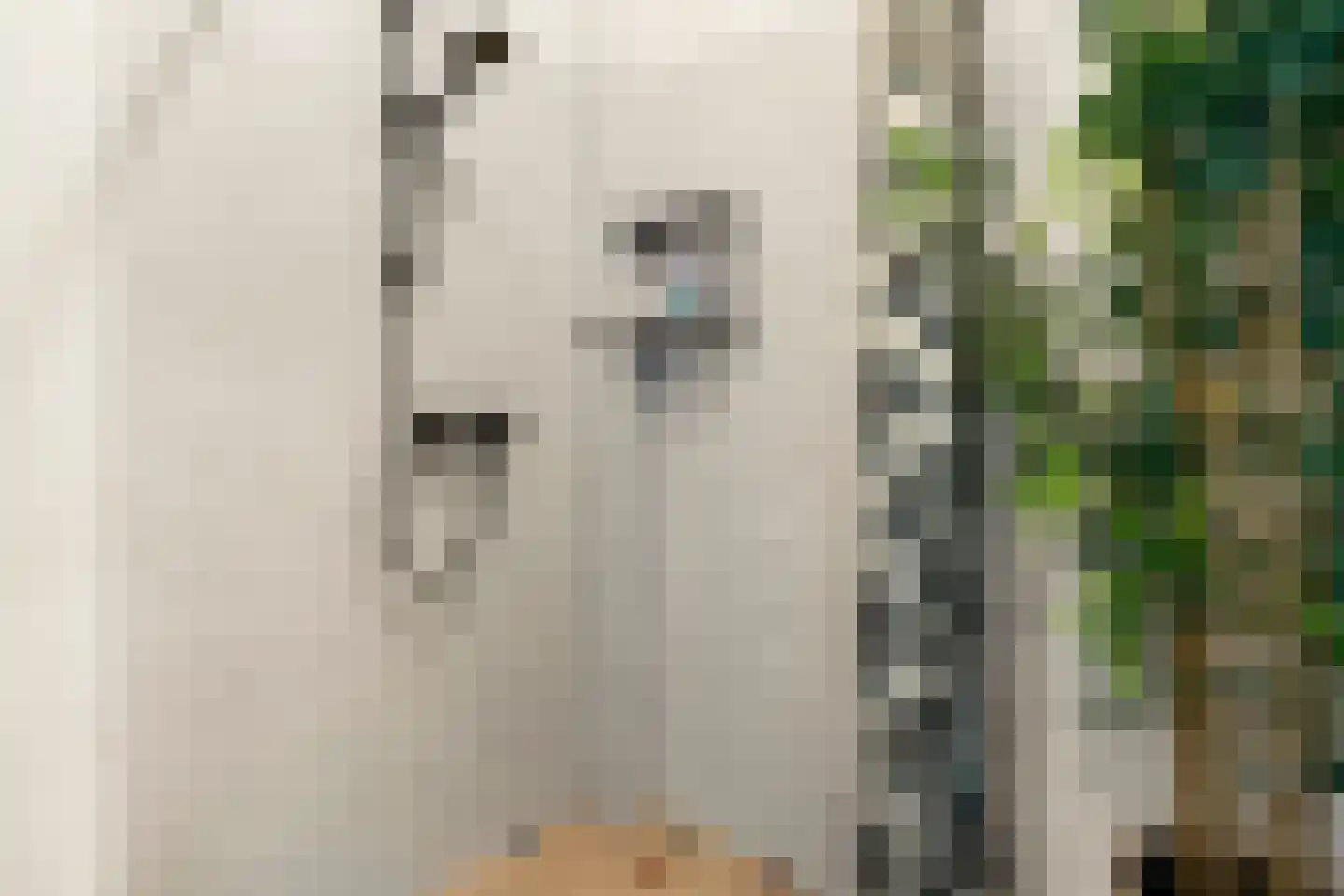 Commandeursweg 126 Bennekom thumbnail 33