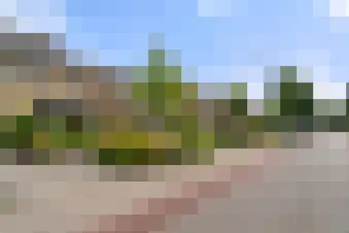 Commandeursweg 14 Bennekom thumbnail 11