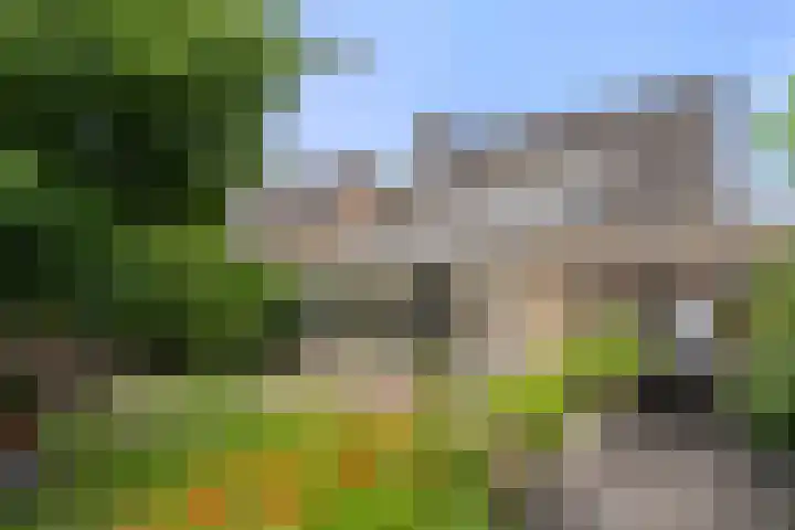 Commandeursweg 14 Bennekom thumbnail 12
