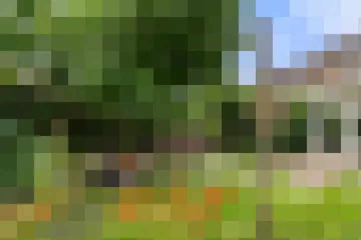 Commandeursweg 14 Bennekom thumbnail 14