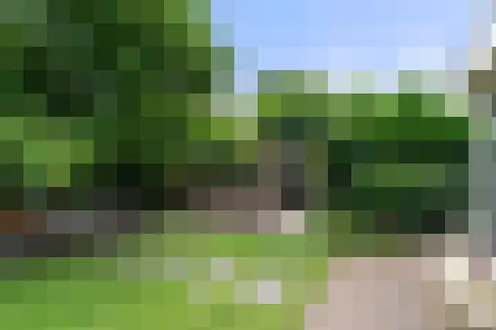 Commandeursweg 14 Bennekom thumbnail 15