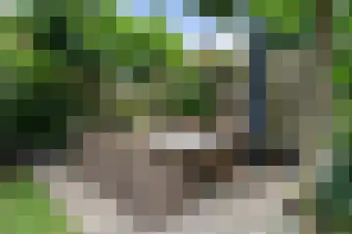 Commandeursweg 14 Bennekom thumbnail 16