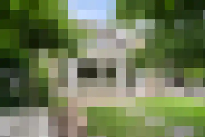 Commandeursweg 14 Bennekom thumbnail 17