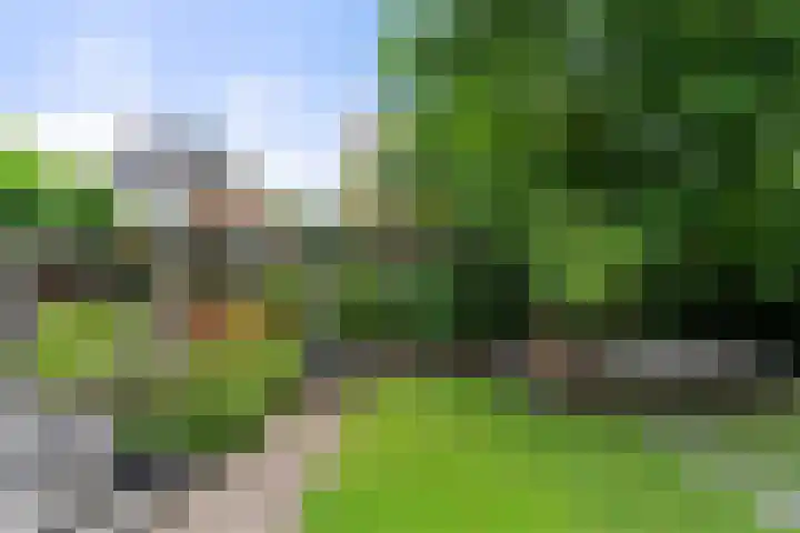 Commandeursweg 14 Bennekom thumbnail 19