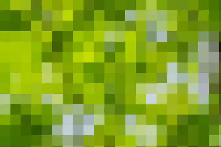 Commandeursweg 14 Bennekom thumbnail 21