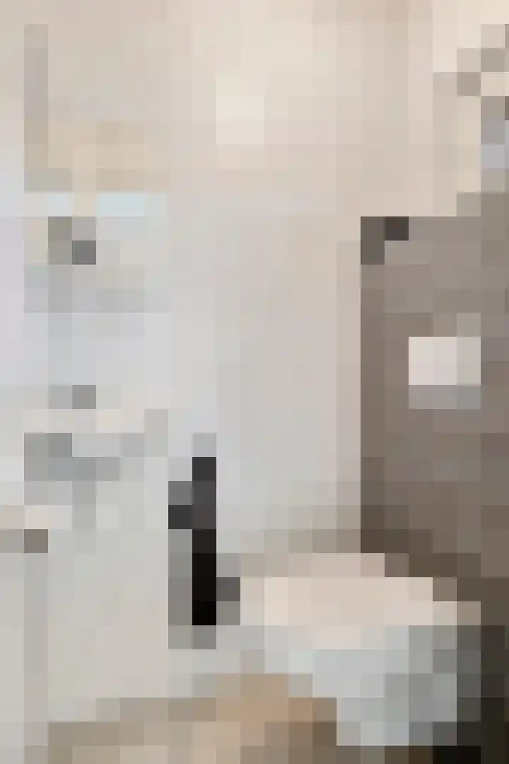 Commandeursweg 14 Bennekom thumbnail 24
