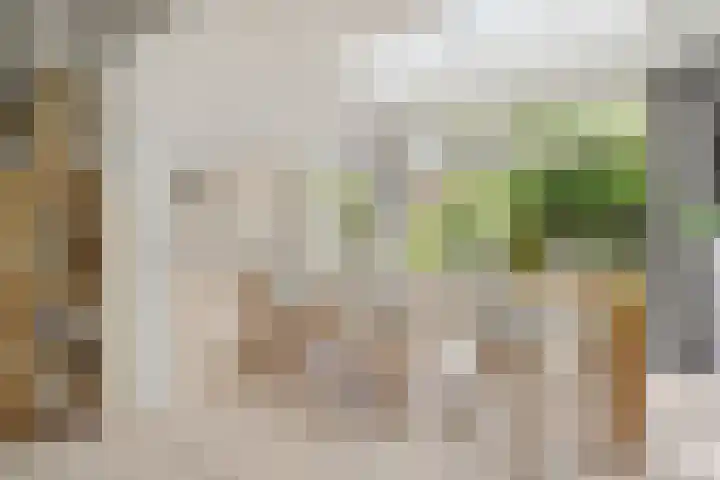 Commandeursweg 14 Bennekom thumbnail 28