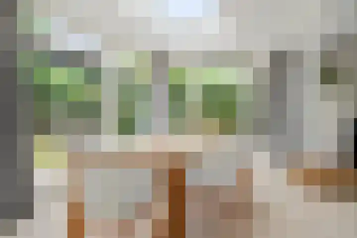 Commandeursweg 14 Bennekom thumbnail 29