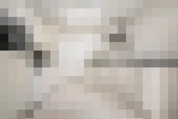 Commandeursweg 14 Bennekom thumbnail 34