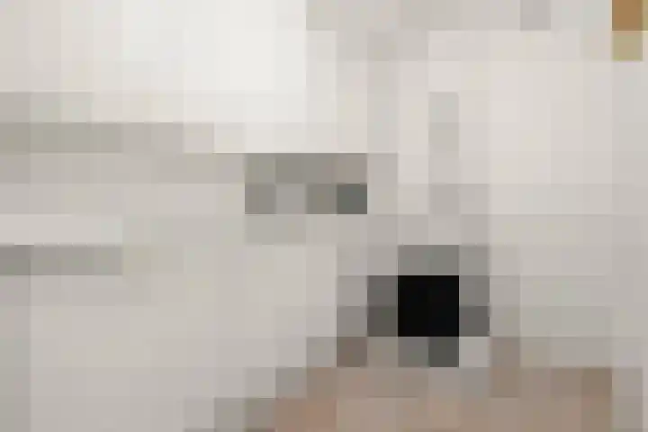 Commandeursweg 14 Bennekom thumbnail 35