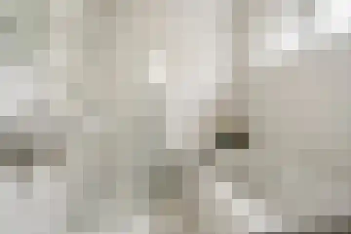 Commandeursweg 14 Bennekom thumbnail 39